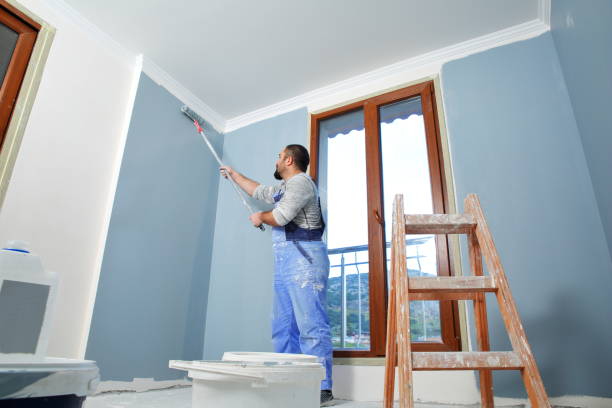 Stucco Painting in Sierra View, PA